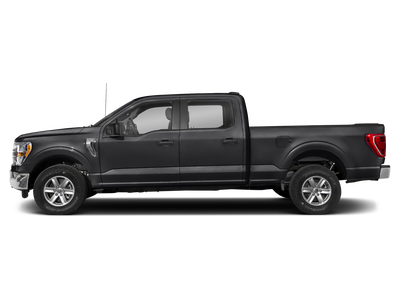 2023 FORD TRUCK F-150 XLT