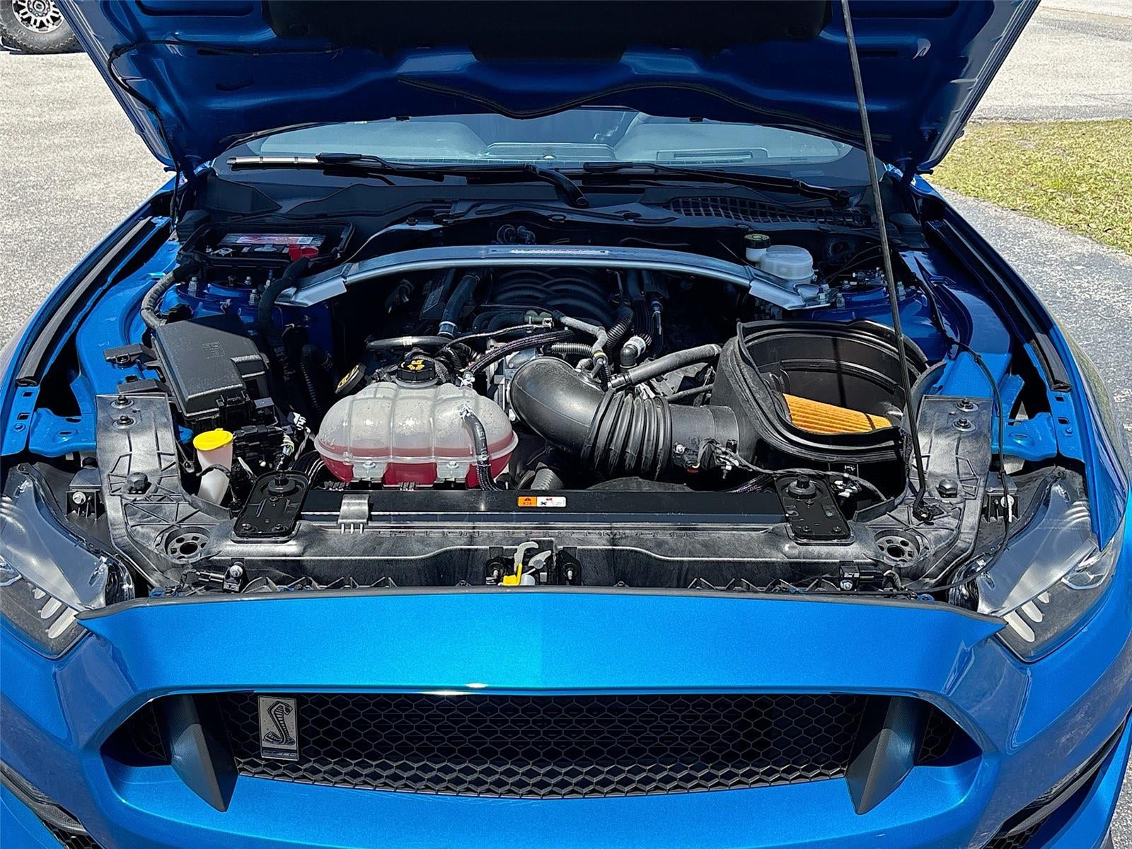 2019 Ford Mustang Shelby GT350