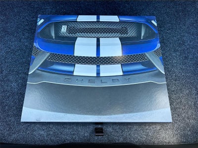 2019 Ford Mustang Shelby GT350