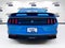 2019 Ford Mustang Shelby GT350
