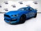 2019 Ford Mustang Shelby GT350