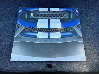 2019 Ford Mustang Shelby GT350