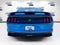 2019 Ford Mustang Shelby GT350