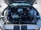 2021 Ford Mustang Shelby
