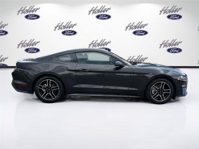 2022 Ford Mustang EcoBoost