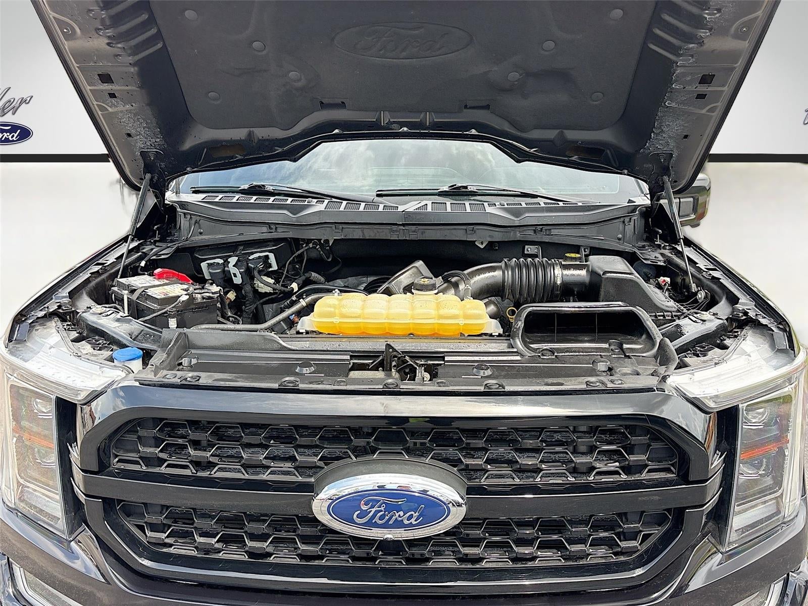 2022 Ford F-150 Platinum