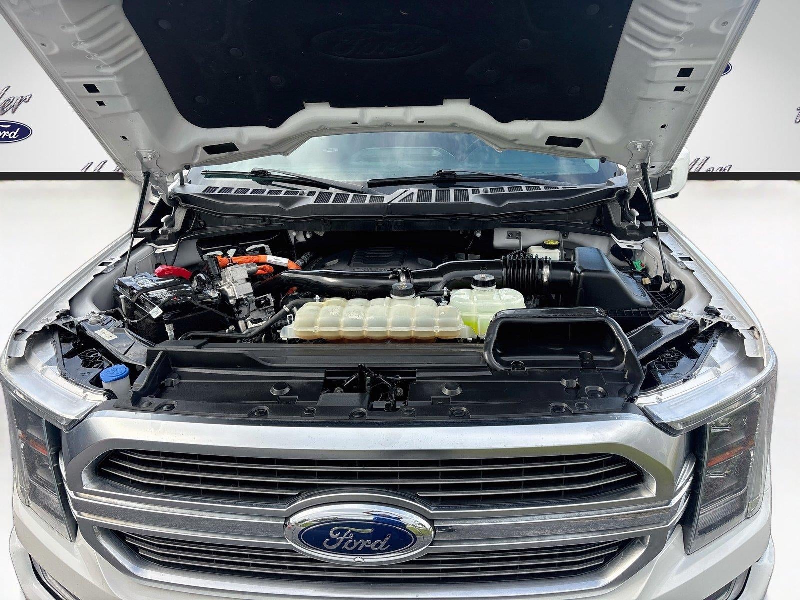 2023 Ford F-150 Limited