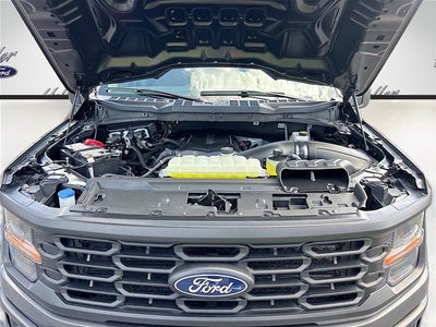 2025 Ford F-150 XL