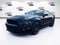 2014 Ford Shelby GT500 Base