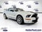 2007 Ford MUSTANG SHELBY GT500