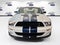 2007 Ford MUSTANG SHELBY GT500