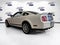 2007 Ford MUSTANG SHELBY GT500