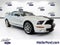 2007 Ford MUSTANG SHELBY GT500