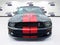 2008 Ford Mustang Shelby GT500