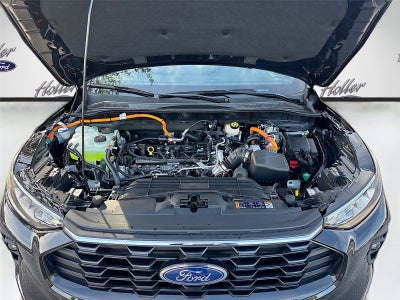 2026 Ford Escape ST-Line Select