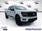 2026 Ford F-150 STX DARK TRAIL ACCESSORY PACKAGE